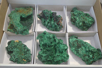 Natural Silky Malachite Specimens x 6 From Kasompe, Congo