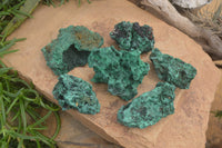 Natural Silky Malachite Specimens x 6 From Kasompe, Congo