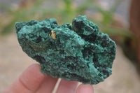 Natural Silky Malachite Specimens x 6 From Kasompe, Congo