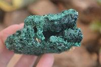 Natural Silky Malachite Specimens x 6 From Kasompe, Congo