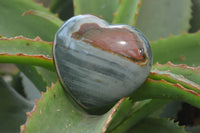 Polished Polychrome Jasper Hearts x 6 From Mahajanga, Madagascar