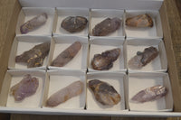 Natural Smokey Amethyst Crystal Specimens x 12 From Chiredzi, Zimbabwe