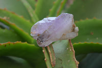 Natural Smokey Amethyst Crystal Specimens x 12 From Chiredzi, Zimbabwe