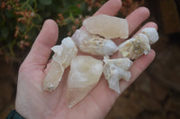 Natural Drusy Quartz Coated Calcite Spearhead Pseudomorph Specimens x 35 From Alberts Mountain, Lesotho