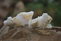 Natural Drusy Quartz Coated Calcite Spearhead Pseudomorph Specimens x 35 From Alberts Mountain, Lesotho