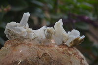 Natural Drusy Quartz Coated Calcite Spearhead Pseudomorph Specimens x 35 From Alberts Mountain, Lesotho