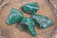 Polished Flower Banded Malachite Free Forms x 4 From Congo