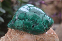 Polished Flower Banded Malachite Free Forms x 4 From Congo