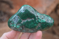 Polished Flower Banded Malachite Free Forms x 4 From Congo