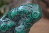 Polished Flower Banded Malachite Free Forms x 4 From Congo