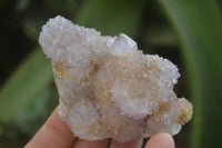 Natural Ametrine and Amethyst Spirit Quartz Clusters x 6 From Boekenhouthoek, South Africa