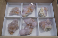 Natural Ametrine and Amethyst Spirit Quartz Clusters x 6 From Boekenhouthoek, South Africa