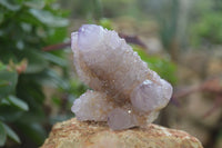 Natural Ametrine and Amethyst Spirit Quartz Clusters x 6 From Boekenhouthoek, South Africa