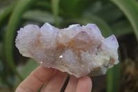 Natural Ametrine and Amethyst Spirit Quartz Clusters x 6 From Boekenhouthoek, South Africa