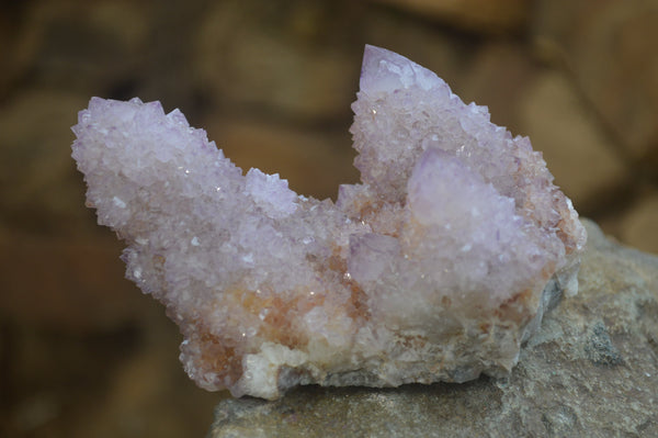 Natural Ametrine and Amethyst Spirit Quartz Clusters x 6 From Boekenhouthoek, South Africa