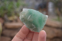 Natural Jade Cobbed Specimens x 35 From Swaziland