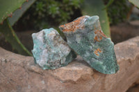 Natural Jade Cobbed Specimens x 35 From Swaziland