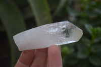 Natural Quartz Crystals x 20 From Mpika, Zambia