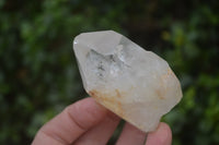 Natural Quartz Crystals x 20 From Mpika, Zambia