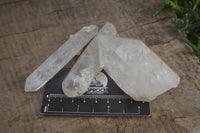 Natural Quartz Crystals x 20 From Mpika, Zambia