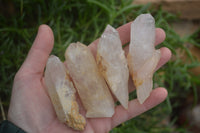 Natural Quartz Crystals x 20 From Mpika, Zambia