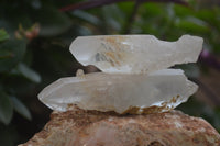 Natural Quartz Crystals x 20 From Mpika, Zambia