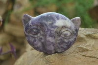 Polished Lepidolite Cat Face Carvings x 4 From Zimbabwe