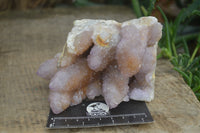 Natural Ametrine Spirit Quartz Clusters x 2 From Boekenhouthoek, South Africa