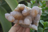 Natural Ametrine Spirit Quartz Clusters x 2 From Boekenhouthoek, South Africa