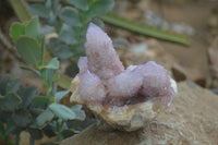 Natural Ametrine Spirit Quartz Clusters x 2 From Boekenhouthoek, South Africa