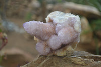 Natural Ametrine Spirit Quartz Clusters x 2 From Boekenhouthoek, South Africa