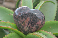 Polished Rhodonite Hearts x 2 From Ambindavato, Madagascar