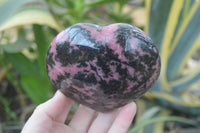 Polished Rhodonite Hearts x 2 From Ambindavato, Madagascar