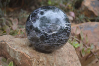 Polished Gabbro Sphere x 1 From Madagascar