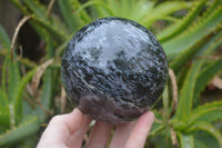 Polished Gabbro Sphere x 1 From Madagascar