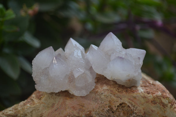 Natural Pale Ametrine Spirit Quartz Clusters x 20 From Boekenhouthoek, South Africa