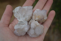 Natural Pale Ametrine Spirit Quartz Clusters x 20 From Boekenhouthoek, South Africa