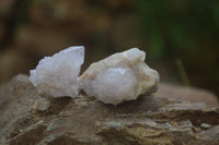 Natural Pale Ametrine Spirit Quartz Clusters x 20 From Boekenhouthoek, South Africa