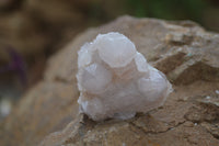 Natural Pale Ametrine Spirit Quartz Clusters x 20 From Boekenhouthoek, South Africa