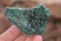 Natural Silky Malachite Specimens x 12 From Kasompe, Congo