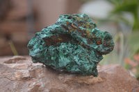 Natural Silky Malachite Specimens x 12 From Kasompe, Congo