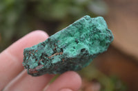 Natural Silky Malachite Specimens x 12 From Kasompe, Congo