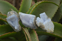 Natural Blue Lace Agate Geode Specimens x 12 From Nsanje, Malawi