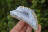 Natural Blue Lace Agate Geode Specimens x 12 From Nsanje, Malawi