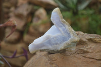 Natural Blue Lace Agate Geode Specimens x 12 From Nsanje, Malawi