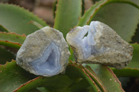 Natural Blue Lace Agate Geode Specimens x 12 From Nsanje, Malawi