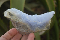 Natural Blue Lace Agate Geode Specimens x 12 From Nsanje, Malawi