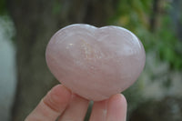 Polished Pink Rose Quartz Gemstone Hearts x 6 From Madagascar