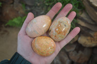 Polished Peachy Runestone Feldspar Massage Gallet - Palm stones x 12 From Kings Ranch, Zimbabwe