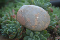 Polished Peachy Runestone Feldspar Massage Gallet - Palm stones x 12 From Kings Ranch, Zimbabwe